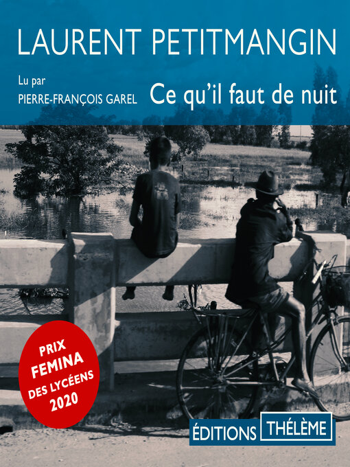 Title details for Ce qu'il faut de nuit by Laurent Petitmangin - Available
